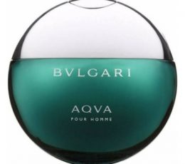 Aqva Pour Homme Bvlgari