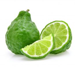 Vaj Esencial Bergamot - Bergamote Essential Oil 10ml