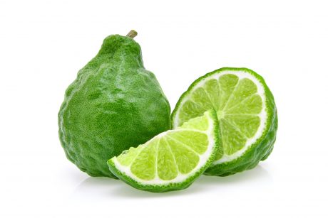 Bergamot-copy