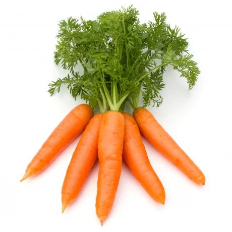 carrot