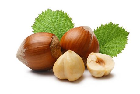 Hazelnut on white backgroud