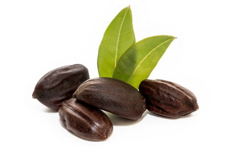 Jojoba seeds, Simmondsia chinensis, isolated on withe beckground