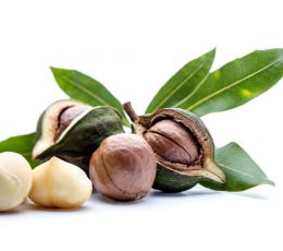 Vaj Makadamia - Macadamia Nut Oil 100ml