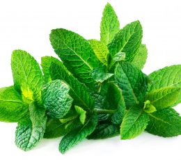 Vaj Esencial Mente - Spearmint Essential Oil 10ml