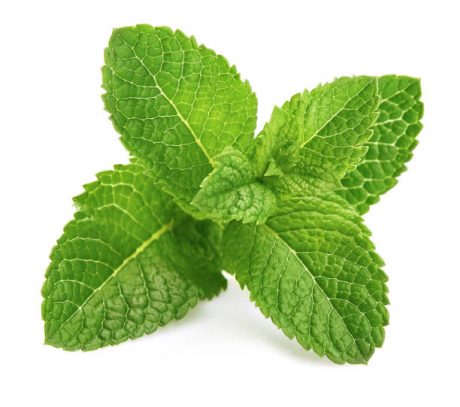 mint