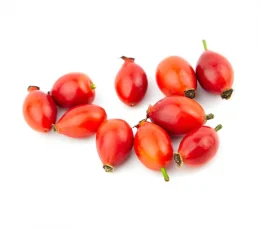 Vaj Trendafili - Rose Hips Oil 30ml