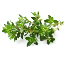 Vaj Esencial Trumez - Thyme Essential Oil 10ml