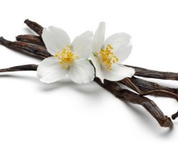 Vaj Esencial Vanilje - Vanilla Essential Oil 10ml