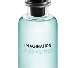 Imagination Louis Vuitton